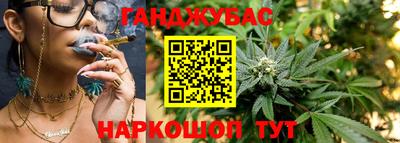 индика Ливны