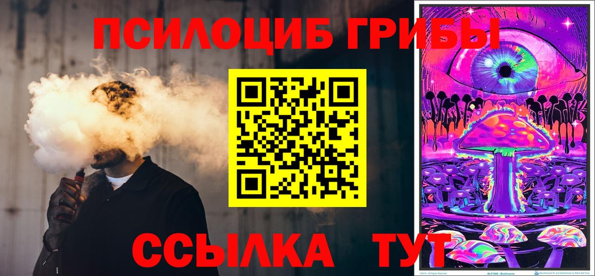 Видное  купить   Вход с VPN  Галлюциногенные грибы Cubensis 